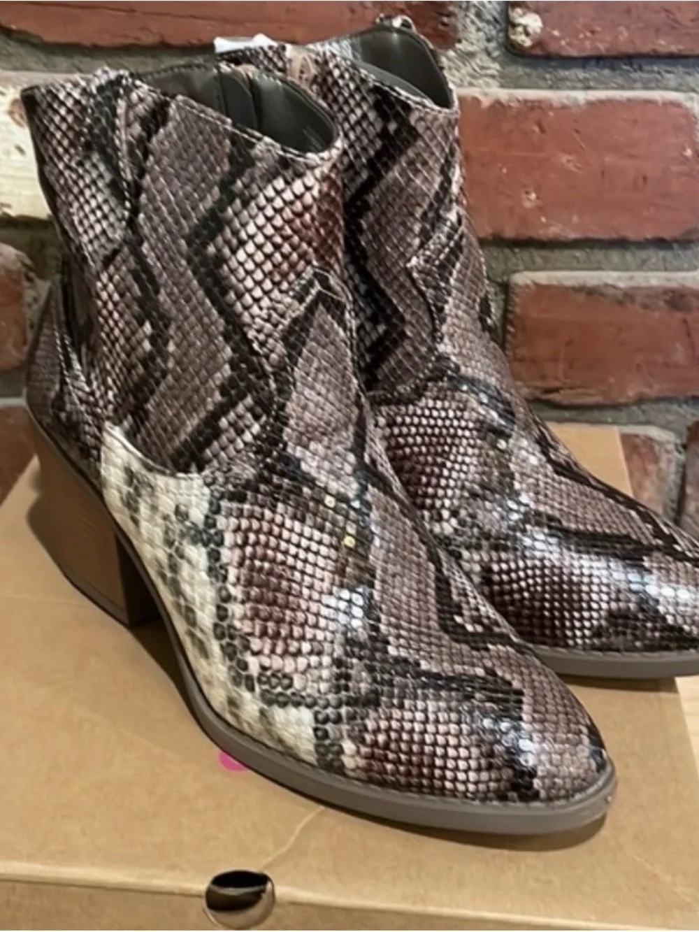 NWT Sugar Tarah Snakeskin Print Ankle Boots, Women's Fashion Booties, Size 8.5